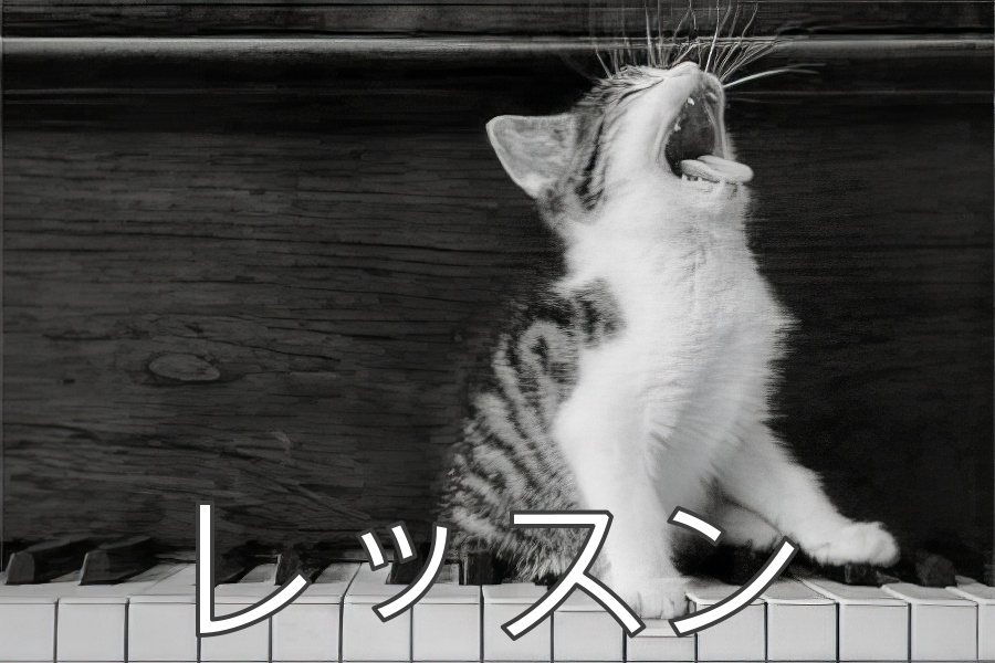 レッスン