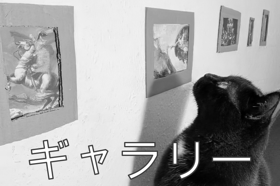 ギャラリー